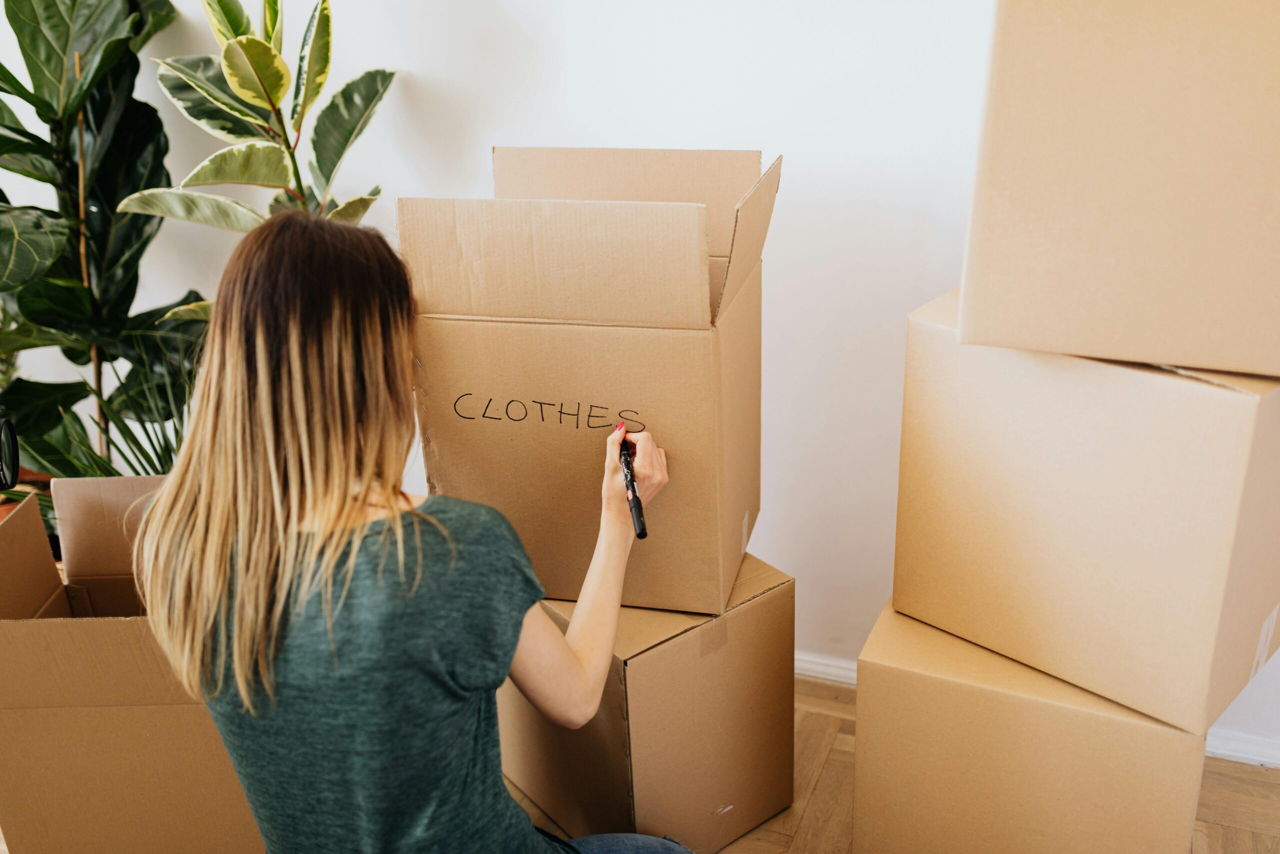 How to Find an Apartment Fast Near MSU: A Guide to Last-Minute Housing